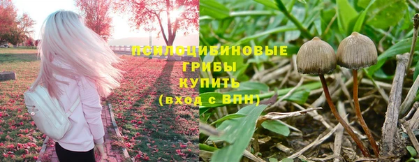 ALPHA PVP Бугульма