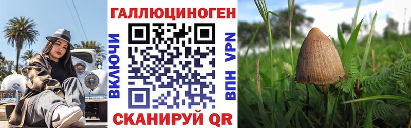 сайты даркнета наркотические препараты  Каневская  Галлюциногенные грибы мухоморы 