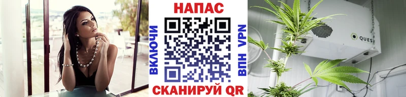Бошки марихуана конопля  ссылка на мегу ССЫЛКА  Каневская 